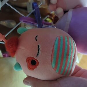 Squishmallow clip Willett